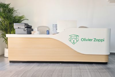 20% off for Dog Training Services